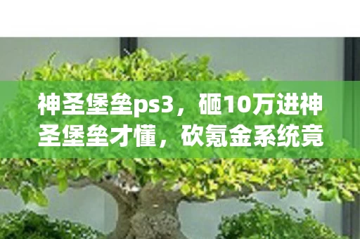 神圣堡垒ps3，砸10万进神圣堡垒才懂，砍氪金系统竟是唯一良心，我成韭菜王！