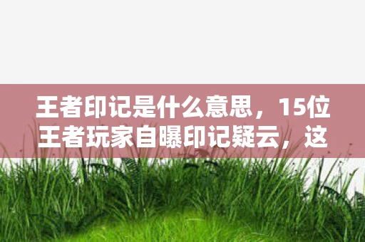 王者印记是什么意思，15位王者玩家自曝印记疑云，这操作是大神还是脚本？我当场绷不住了！