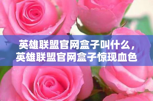 英雄联盟官网盒子叫什么，英雄联盟官网盒子惊现血色代码！2027年悬案，谁在暗网操控玩家灵魂？
