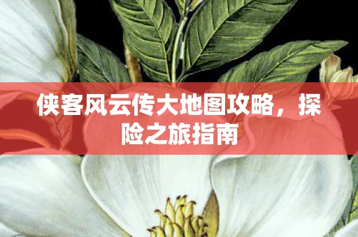 侠客风云传大地图攻略图片