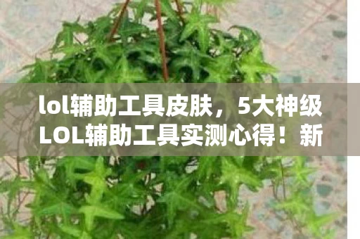 lol辅助工具皮肤，5大神级LOL辅助工具实测心得！新手避坑指南+效率翻倍秘籍