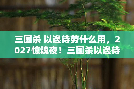 三国杀 以逸待劳什么用,2027惊魂夜!三国杀以逸待劳藏悬案,线索交织毛骨悚然 三国杀 以逸待劳什么用,2027惊魂夜!三国杀以逸待劳藏悬案,线索交织毛骨悚然