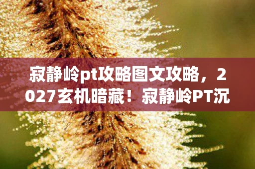 寂静岭pt攻略图文攻略，2027玄机暗藏！寂静岭PT沉默之谜，究竟给了我什么？