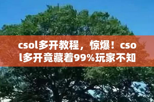 csol多开教程,惊爆!csol多开竟藏着99%玩家不知的逆天机制,高手都在偷偷用! csol多开教程,惊爆!csol多开竟藏着99%玩家不知的逆天机制,高手都在偷偷用!