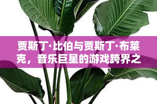 音乐巨星的游戏跨界之旅图片