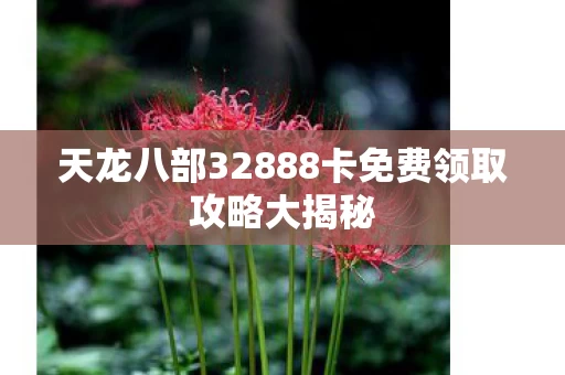 天龙八部32888卡免费领取攻略大揭秘图片