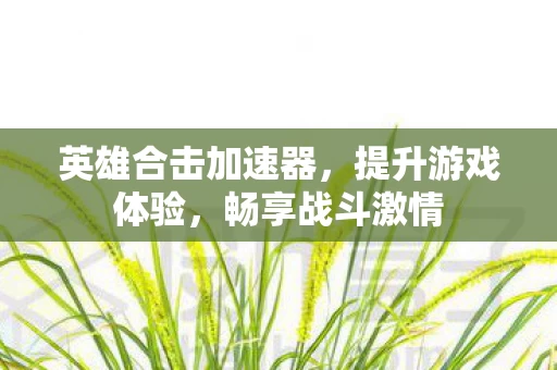 英雄合击加速器图片