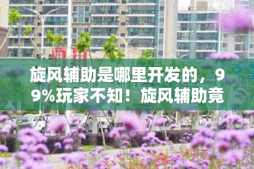 旋风辅助是哪里开发的,99%玩家不知!旋风辅助竟藏3大逆天机制,用对直接封神! 旋风辅助是哪里开发的,99%玩家不知!旋风辅助竟藏3大逆天机制,用对直接封神!