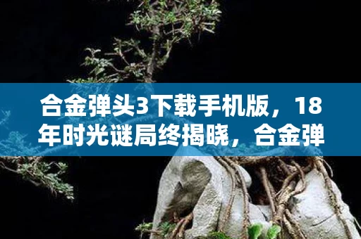 合金弹头3下载手机版，18年时光谜局终揭晓，合金弹头3关服泪目倒计时！