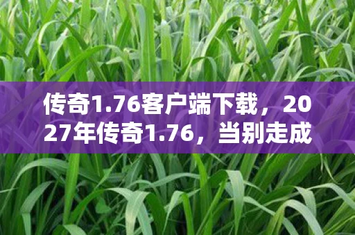 传奇1.76客户端下载,2027年传奇1.76,当别走成绝响,我删号时鼻子一酸 传奇1.76客户端下载,2027年传奇1.76,当别走成绝响,我删号时鼻子一酸