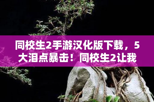 同校生2手游汉化版下载，5大泪点暴击！同校生2让我哭到窒息的沉浸式体验