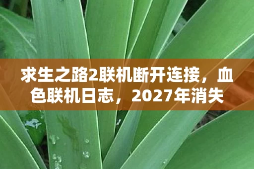 求生之路2联机断开连接，血色联机日志，2027年消失的队友与永不闭合的逃生门