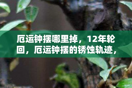 厄运钟摆哪里掉，12年轮回，厄运钟摆的锈蚀轨迹，当最后一滴泪凝成代码