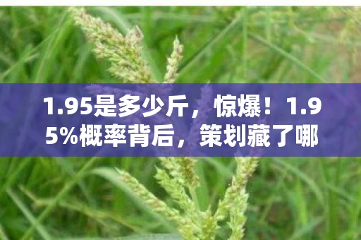 1.95是多少斤,惊爆!1.95%概率背后,策划藏了哪些致命数值陷阱? 1.95是多少斤,惊爆!1.95%概率背后,策划藏了哪些致命数值陷阱?