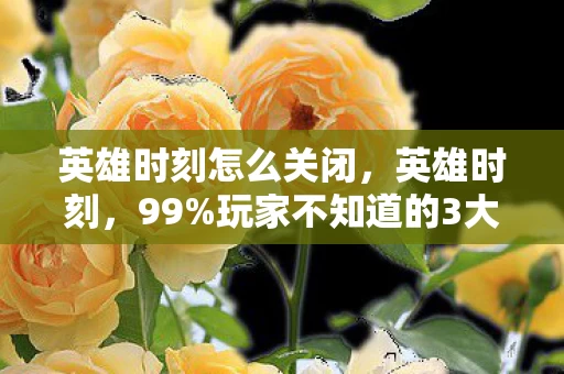 英雄时刻怎么关闭,英雄时刻,99%玩家不知道的3大氪金猫腻,上头到想摔手机! 英雄时刻怎么关闭,英雄时刻,99%玩家不知道的3大氪金猫腻,上头到想摔手机!
