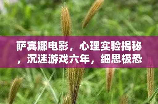 萨宾娜电影,心理实验揭秘,沉迷游戏六年,细思极恐的自我麻醉之旅 萨宾娜电影,心理实验揭秘,沉迷游戏六年,细思极恐的自我麻醉之旅