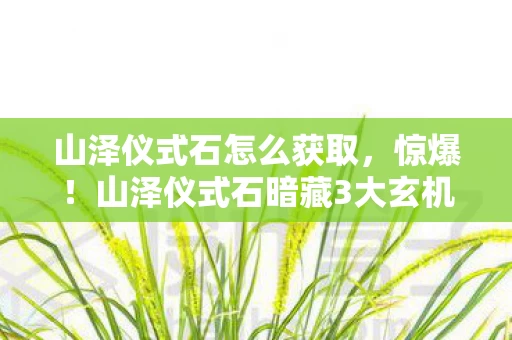 山泽仪式石怎么获取，惊爆！山泽仪式石暗藏3大玄机，背后真相让人脊背发凉！