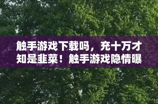 触手游戏下载吗,充十万才知是韭菜!触手游戏隐情曝光,这操作真让人吓一跳! 触手游戏下载吗,充十万才知是韭菜!触手游戏隐情曝光,这操作真让人吓一跳!