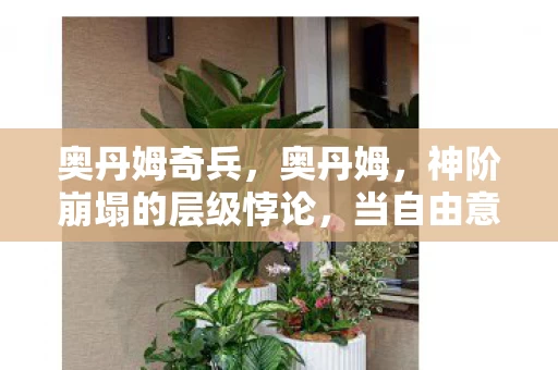 奥丹姆奇兵,奥丹姆,神阶崩塌的层级悖论,当自由意志撞碎命运齿轮的灵魂震颤 奥丹姆奇兵,奥丹姆,神阶崩塌的层级悖论,当自由意志撞碎命运齿轮的灵魂震颤