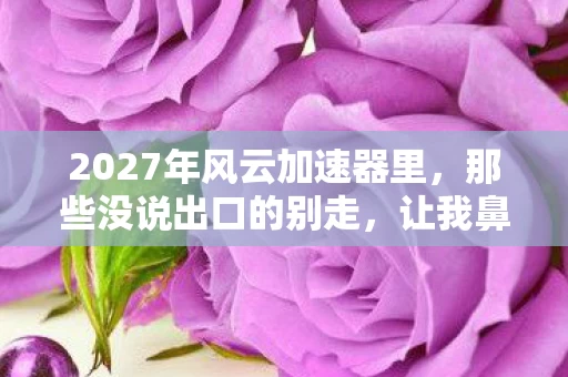 2027年风云加速器里，那些没说出口的别走，让我鼻子一酸