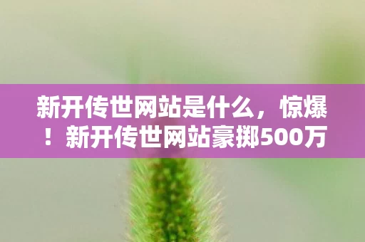 新开传世网站是什么,惊爆!新开传世网站豪掷500万背后隐情,真相让人吓一跳! 新开传世网站是什么,惊爆!新开传世网站豪掷500万背后隐情,真相让人吓一跳!