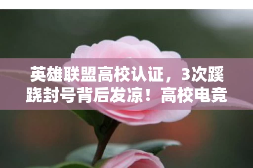 英雄联盟高校认证,3次蹊跷封号背后发凉!高校电竞社长深夜直播揭秘惊天黑幕 英雄联盟高校认证,3次蹊跷封号背后发凉!高校电竞社长深夜直播揭秘惊天黑幕
