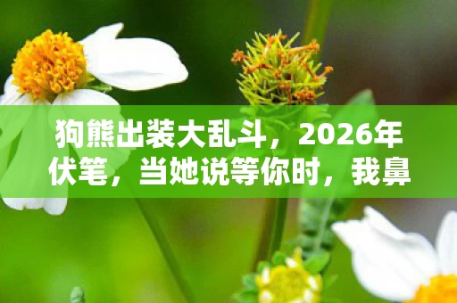 狗熊出装大乱斗，2026年伏笔，当她说等你时，我鼻子一酸想起泡面碗底的油渍