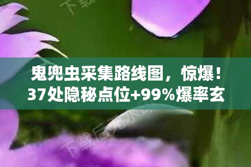 鬼兜虫采集路线图，惊爆！37处隐秘点位+99%爆率玄机，策划不敢说的鬼兜虫采集真相