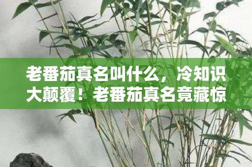 老番茄真名叫什么，冷知识大颠覆！老番茄真名竟藏惊天秘密，真相让人目瞪口呆！