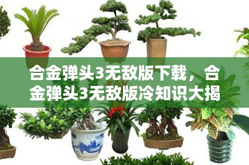 合金弹头3无敌版下载,合金弹头3无敌版冷知识大揭秘,这些颠覆性设计让你目瞪口呆! 合金弹头3无敌版下载,合金弹头3无敌版冷知识大揭秘,这些颠覆性设计让你目瞪口呆!