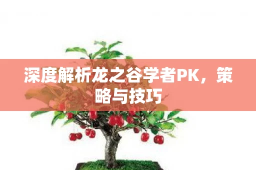 深度解析龙之谷学者PK图片