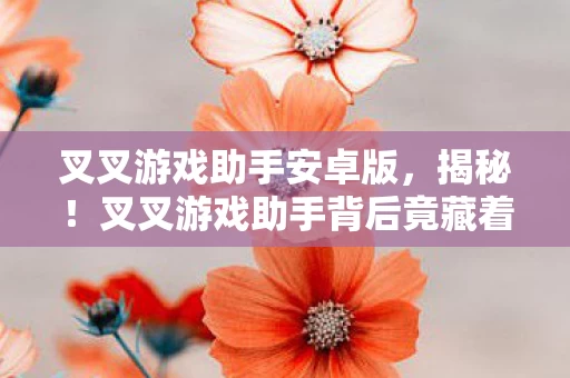 叉叉游戏助手安卓版,揭秘!叉叉游戏助手背后竟藏着10个颠覆认知的神秘设计! 叉叉游戏助手安卓版,揭秘!叉叉游戏助手背后竟藏着10个颠覆认知的神秘设计!