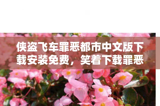 侠盗飞车罪恶都市中文版下载安装免费,笑着下载罪恶都市,落差真相揭晓,笑着笑着,泪水却悄然滑落 侠盗飞车罪恶都市中文版下载安装免费,笑着下载罪恶都市,落差真相揭晓,笑着笑着,泪水却悄然滑落