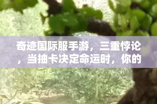 奇迹国际服手游,三重悖论,当抽卡决定命运时,你的灵魂究竟属于谁? 奇迹国际服手游,三重悖论,当抽卡决定命运时,你的灵魂究竟属于谁?
