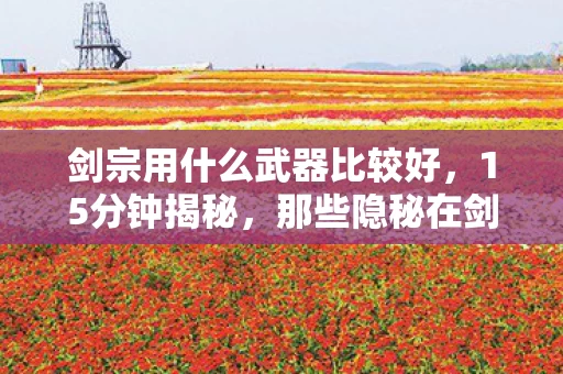 剑宗用什么武器比较好，15分钟揭秘，那些隐秘在剑宗深夜的哽咽与武器之魂