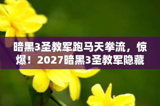 暗黑3圣教军跑马天拳流，惊爆！2027暗黑3圣教军隐藏神技曝光，战力飙升10倍的秘密？