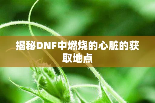 揭秘DNF中燃烧的心脏的获取地点图片