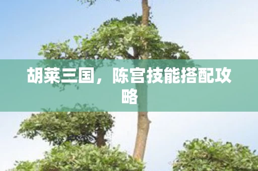 陈宫技能搭配攻略图片