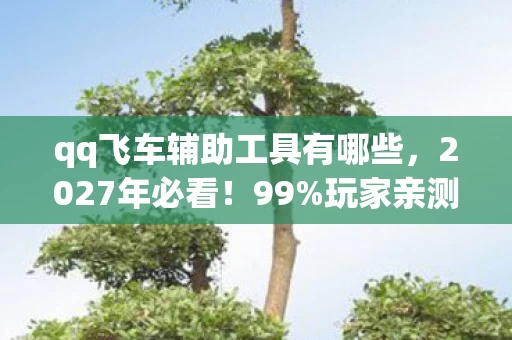 qq飞车辅助工具有哪些,2027年必看!99%玩家亲测,QQ飞车辅助工具的3大逆天体验与血泪心得 qq飞车辅助工具有哪些,2027年必看!99%玩家亲测,QQ飞车辅助工具的3大逆天体验与血泪心得