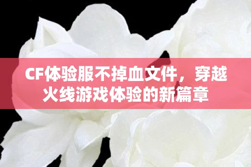 穿越火线游戏体验的新篇章图片