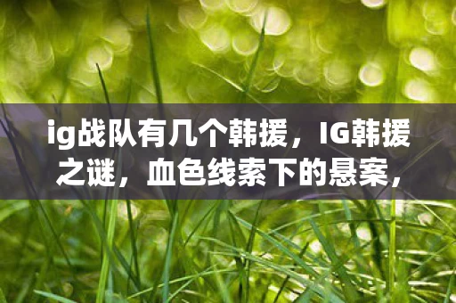 ig战队有几个韩援，IG韩援之谜，血色线索下的悬案，毛骨悚然真相待揭