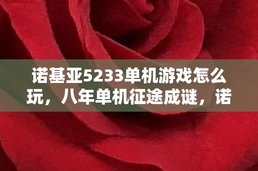 诺基亚5233单机游戏怎么玩，八年单机征途成谜，诺基亚5233关服泪目终章