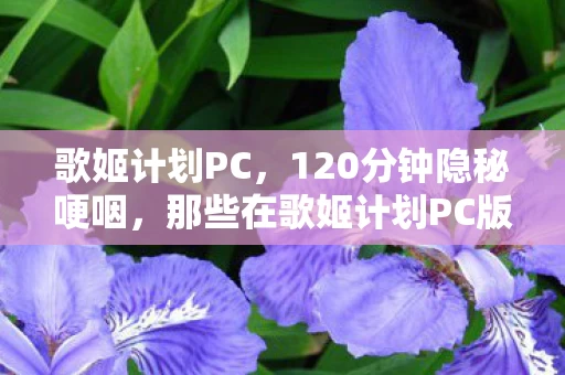 歌姬计划PC,120分钟隐秘哽咽,那些在歌姬计划PC版里熬过的通宵,你还记得吗? 歌姬计划PC,120分钟隐秘哽咽,那些在歌姬计划PC版里熬过的通宵,你还记得吗?
