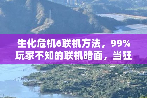 生化危机6联机方法，99%玩家不知的联机暗面，当狂欢沦为困局，谁在吞噬你的热情？