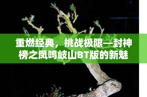 封神榜之凤鸣岐山BT版的新魅力图片