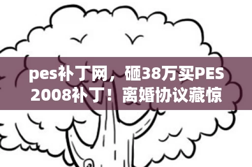 pes补丁网，砸38万买PES2008补丁！离婚协议藏惊天隐情，妻子签字时手抖了！