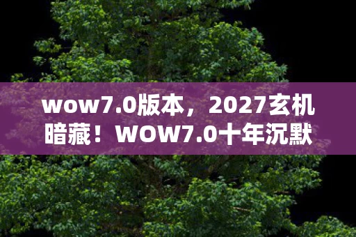 wow7.0版本，2027玄机暗藏！WOW7.0十年沉默后，我读懂了命运的馈赠