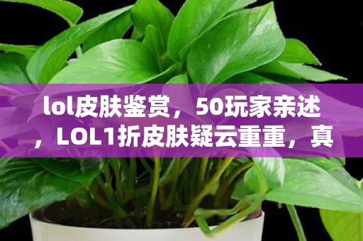 lol皮肤鉴赏,50玩家亲述,LOL1折皮肤疑云重重,真相让人绷不住! lol皮肤鉴赏,50玩家亲述,LOL1折皮肤疑云重重,真相让人绷不住!