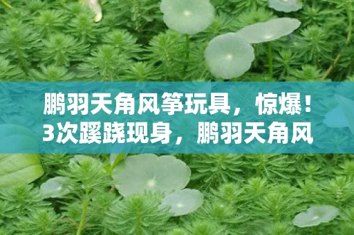 鹏羽天角风筝玩具，惊爆！3次蹊跷现身，鹏羽天角风筝背后真相让人后背发凉