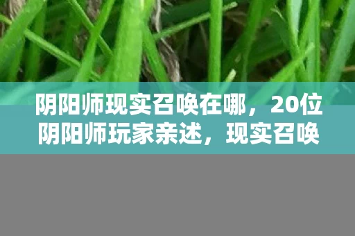 阴阳师现实召唤在哪,20位阴阳师玩家亲述,现实召唤惊现幽灵SSR?大神萌新集体绷不住! 阴阳师现实召唤在哪,20位阴阳师玩家亲述,现实召唤惊现幽灵SSR?大神萌新集体绷不住!